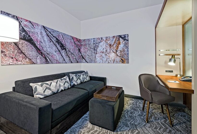 标准间, Springhill Suites By Marriott San Antonio Seaworld®/lackland