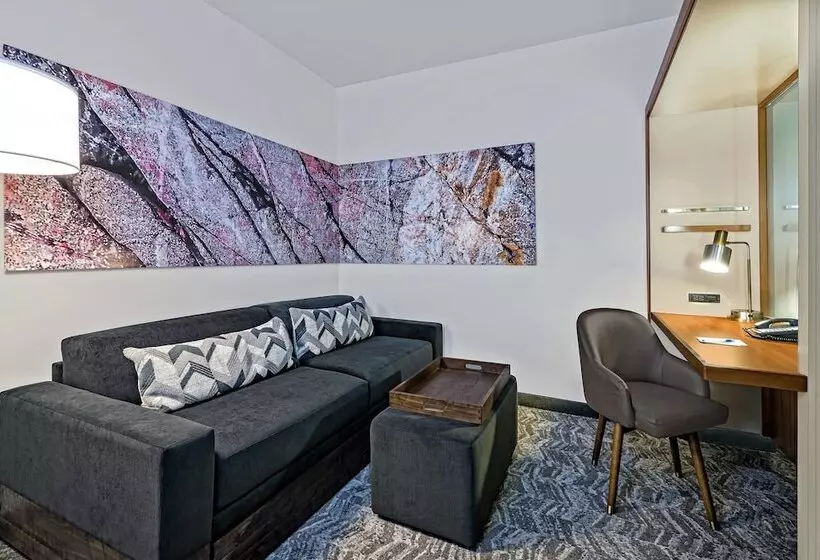 スタンダードルーム, Springhill Suites By Marriott San Antonio Seaworld®/lackland