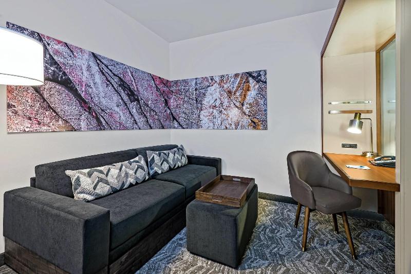 Студио Стандарт Кровать Кинг, Springhill Suites By Marriott San Antonio Seaworld®/lackland