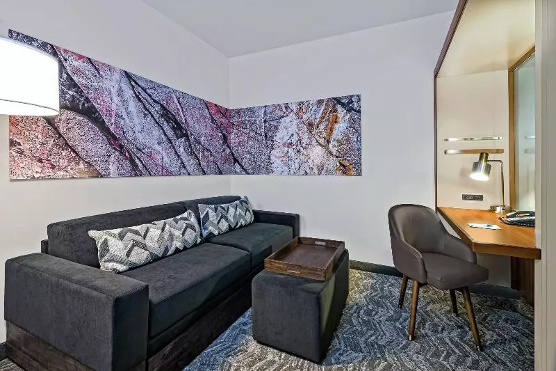 キングサイドベッドのスタンダードワンルーム, Springhill Suites By Marriott San Antonio Seaworld®/lackland