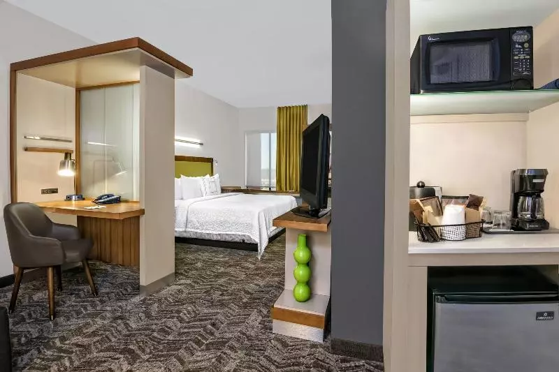 キングサイドベッドのスタンダードワンルーム, Springhill Suites By Marriott San Antonio Seaworld®/lackland