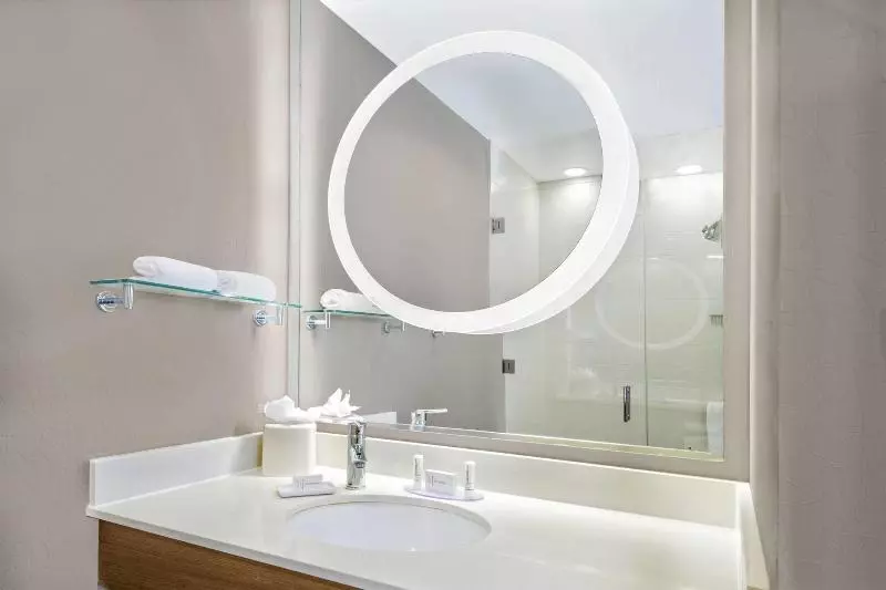 キングサイドベッドのスタンダードワンルーム, Springhill Suites By Marriott San Antonio Seaworld®/lackland