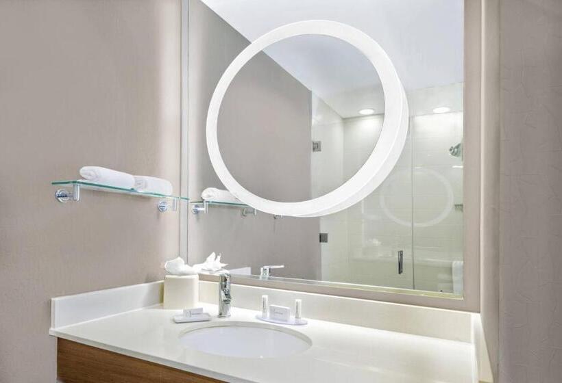 Студио Стандарт Кровать Кинг, Springhill Suites By Marriott San Antonio Seaworld®/lackland