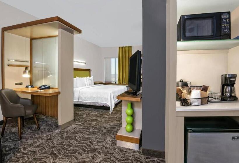 带大床的标准工作室, Springhill Suites By Marriott San Antonio Seaworld®/lackland