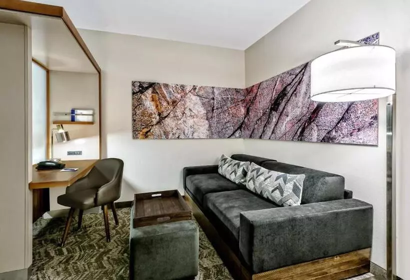 上層階スタンダードルーム, Springhill Suites By Marriott San Antonio Seaworld®/lackland