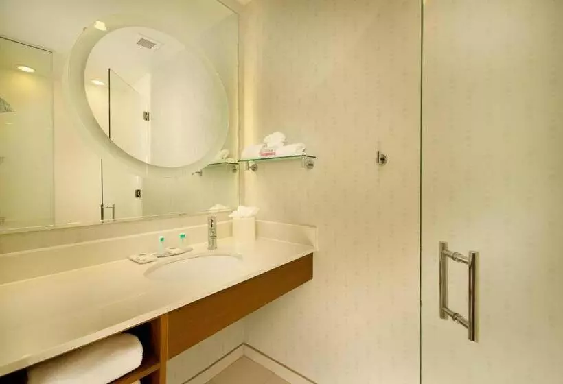 上層階スタンダードルーム, Springhill Suites By Marriott San Antonio Seaworld®/lackland