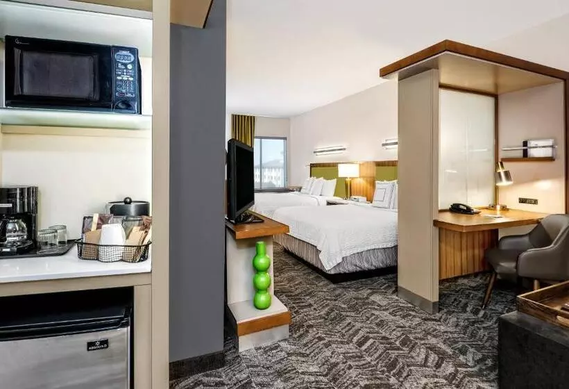 上層階スタンダードルーム, Springhill Suites By Marriott San Antonio Seaworld®/lackland