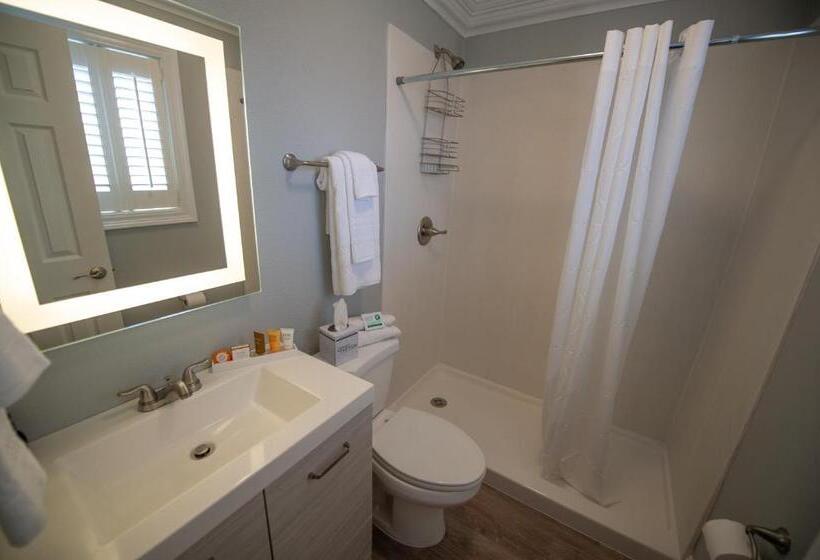 سوییت, Frenchmen Orleans At 519, Ascend Hotel Collection