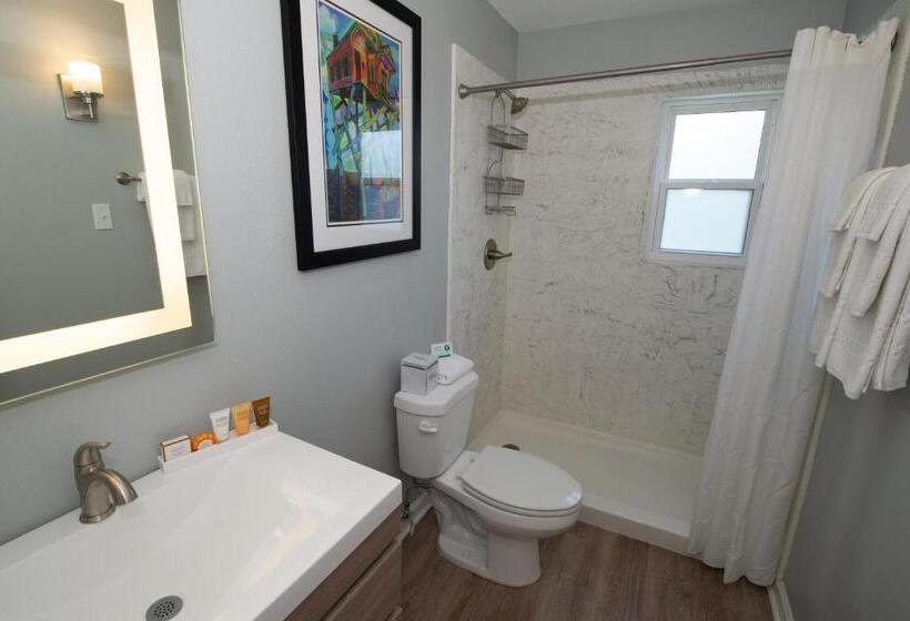 سوئیت برای معلولان, Frenchmen Orleans At 519, Ascend Hotel Collection