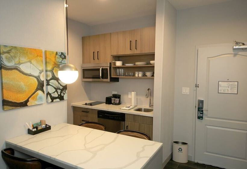 适合残疾人士使用的套间, Homewood Beaumont, Tx