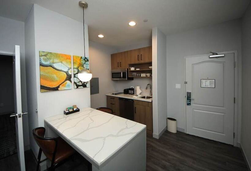 Люкс Адаптированный для Инвалидов, Homewood Beaumont, Tx
