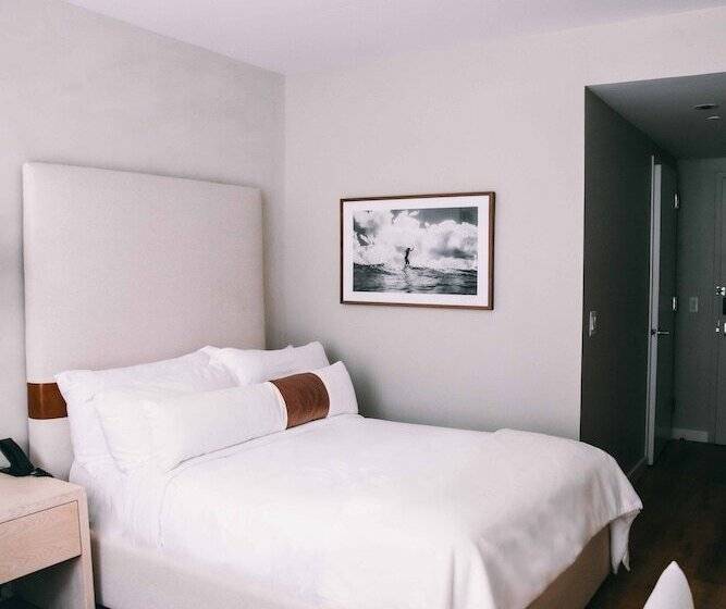 디럭스 룸, Coda Williamsburg