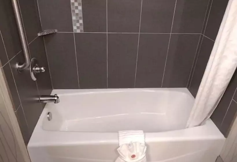 スイート, Comfort Suites Greenville