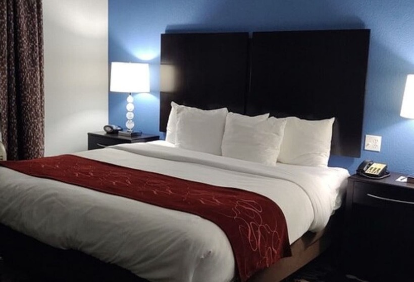 سوییت, Comfort Suites Greenville