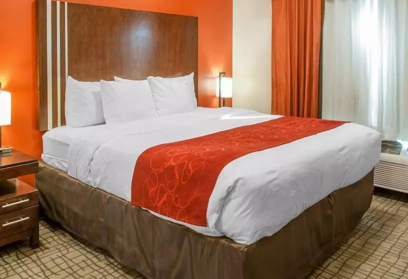 スイート, Comfort Suites