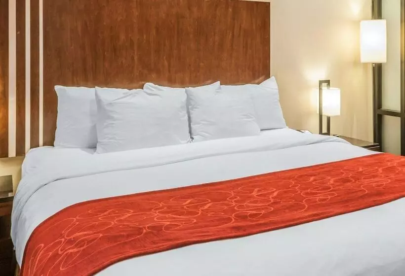 スイート, Comfort Suites