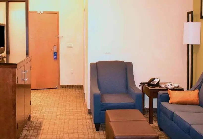 身障者適用スイートルーム, Comfort Suites