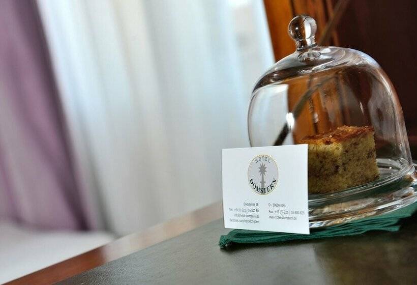 스탠다드 싱글 룸, Domstern