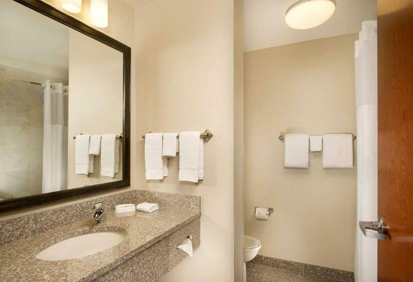 غرفة ديلوكس سرير كينج, Drury Plaza Hotel Valdosta