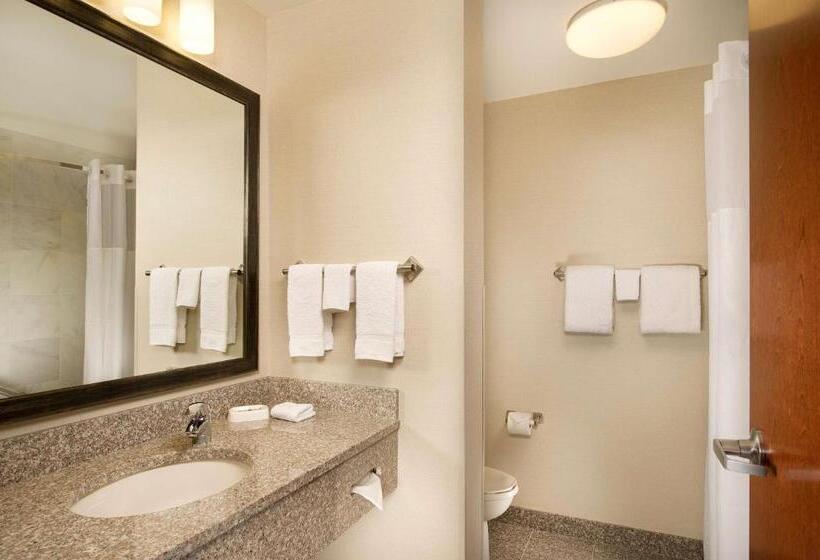 غرفة سوبيريور لذوى الاحتياجات الخاصة, Drury Plaza Hotel Valdosta