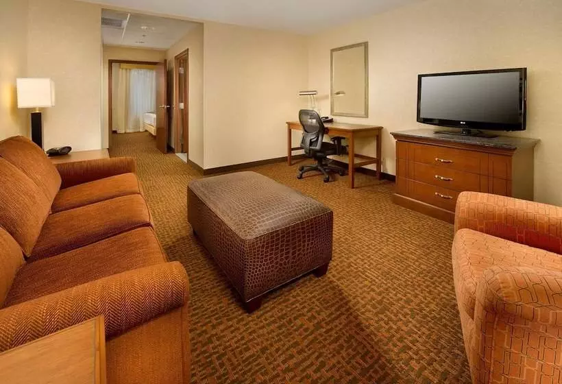 身障者適用スイートルーム, Drury Plaza Hotel Valdosta