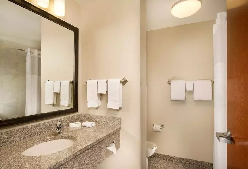 身障者適用スイートルーム, Drury Plaza Hotel Valdosta