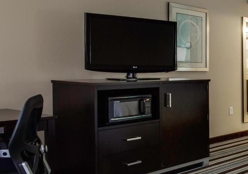 غرفة قياسية سرير كينج, Hampton Inn Statesboro