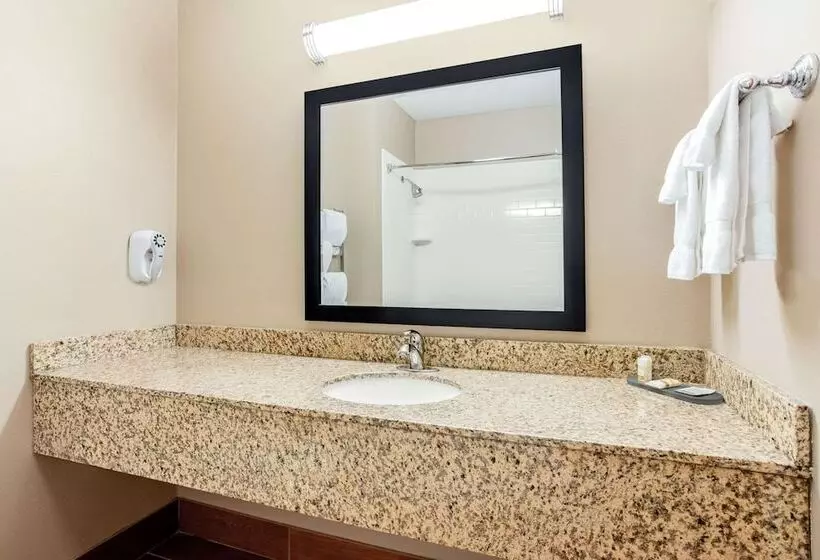 障害者適応デラックスルーム, La Quinta By Wyndham Indianapolis Airport Plainfield