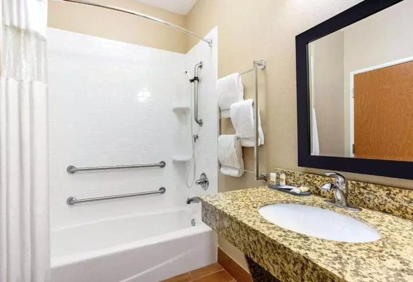 身障者適用スタンダードルーム, La Quinta By Wyndham Indianapolis Airport Plainfield