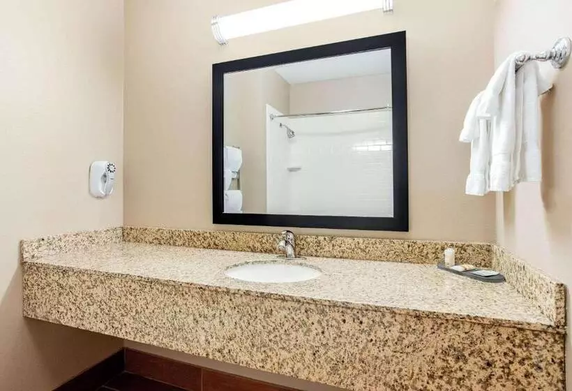 身障者適用キングサイズベッドルーム, La Quinta By Wyndham Indianapolis Airport Plainfield