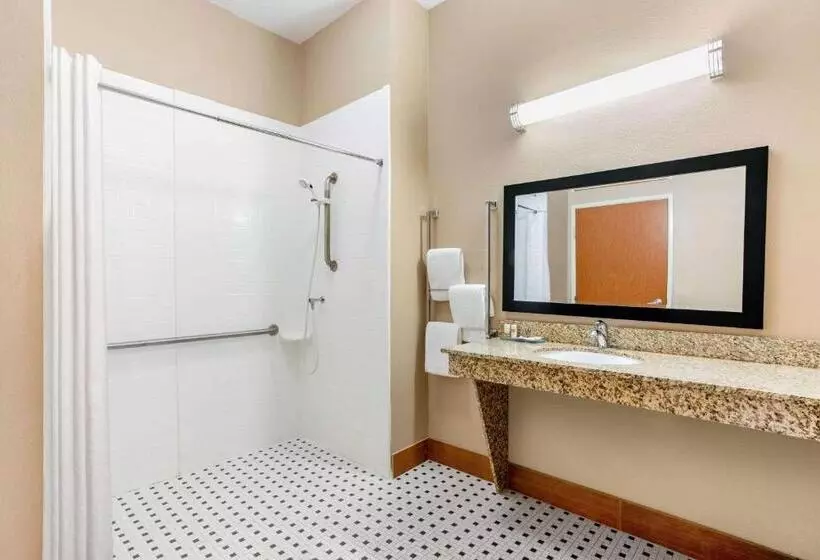 身障者適用キングサイズベッドルーム, La Quinta By Wyndham Indianapolis Airport Plainfield