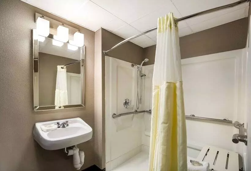 デラックスルーム, Red Roof Inn Allentown South