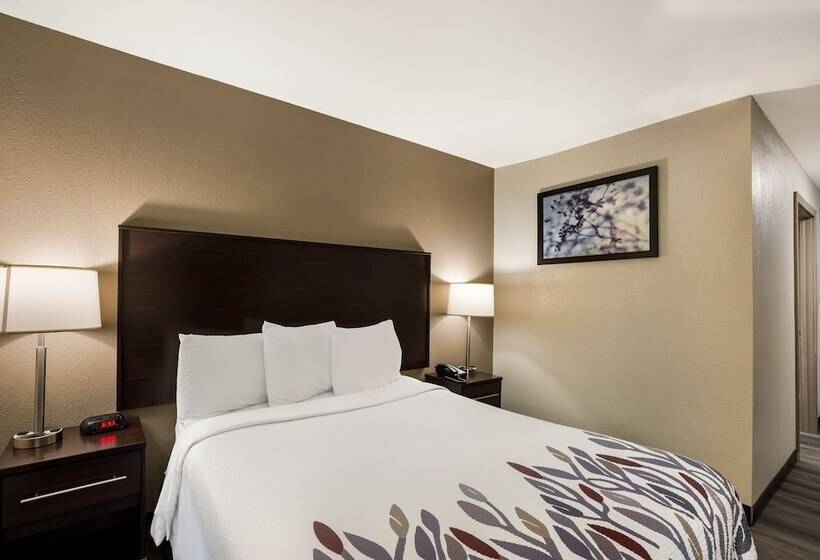 Номер Deluxe, Red Roof Inn Allentown South