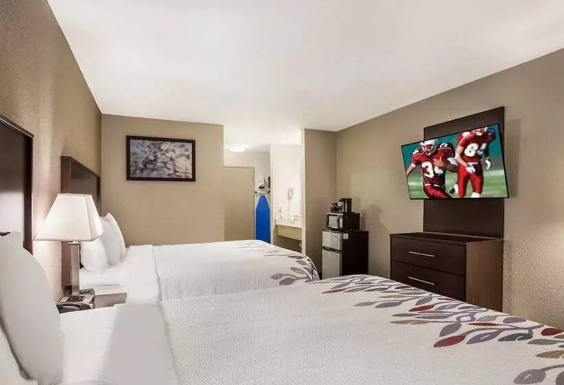 デラックスルーム, Red Roof Inn Allentown South