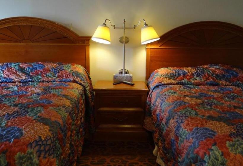 豪华房间, Stay Inn