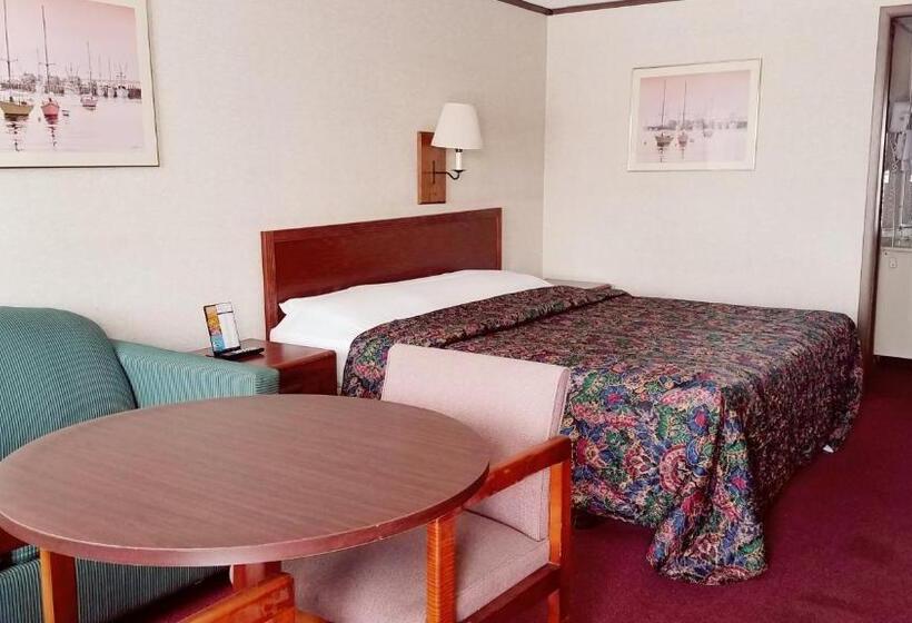 带大床的标准间, Stay Inn