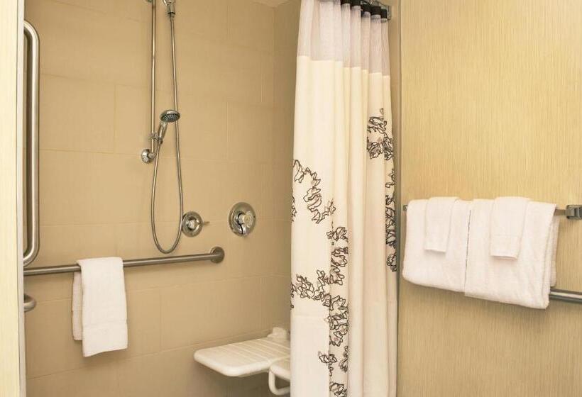 带大床的套房, Residence Inn By Marriott Syracuse Downtown At Armory Square