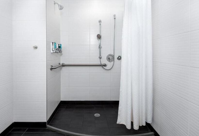 스탠다드 도시전망 룸, Aloft Asheville Downtown