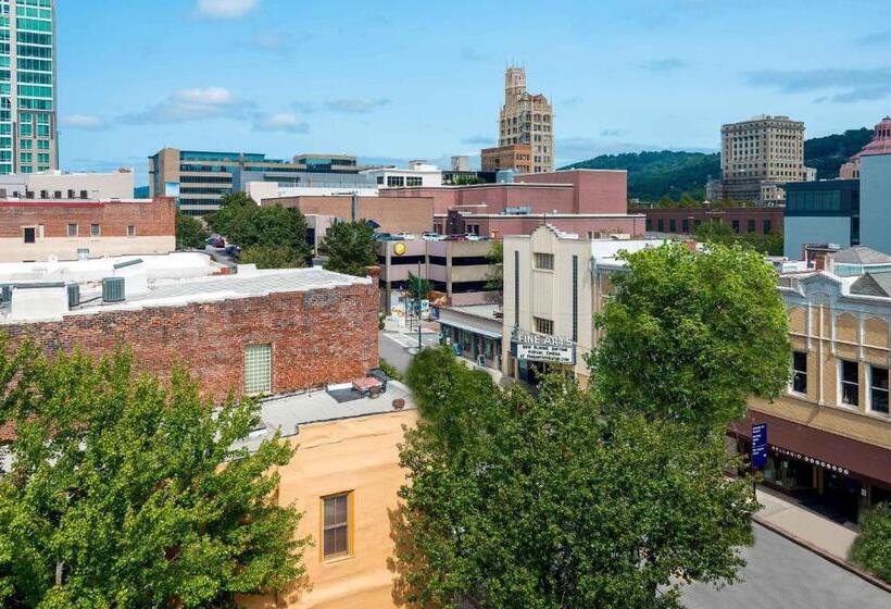 스탠다드 도시전망 룸, Aloft Asheville Downtown