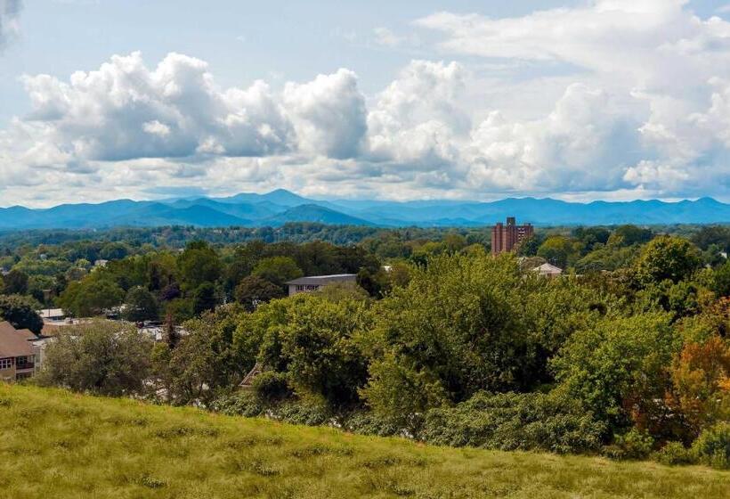 스탠다드 룸 킹사이즈 침대, Aloft Asheville Downtown