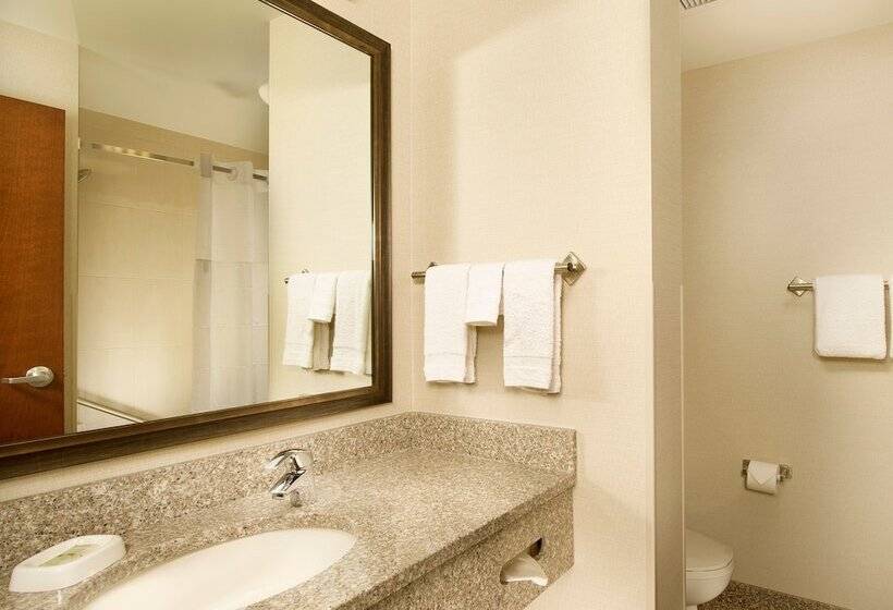 חדר דלוקס מותאם לאנשים עם מוגבלויות, Drury Plaza Hotel Denver Westminster