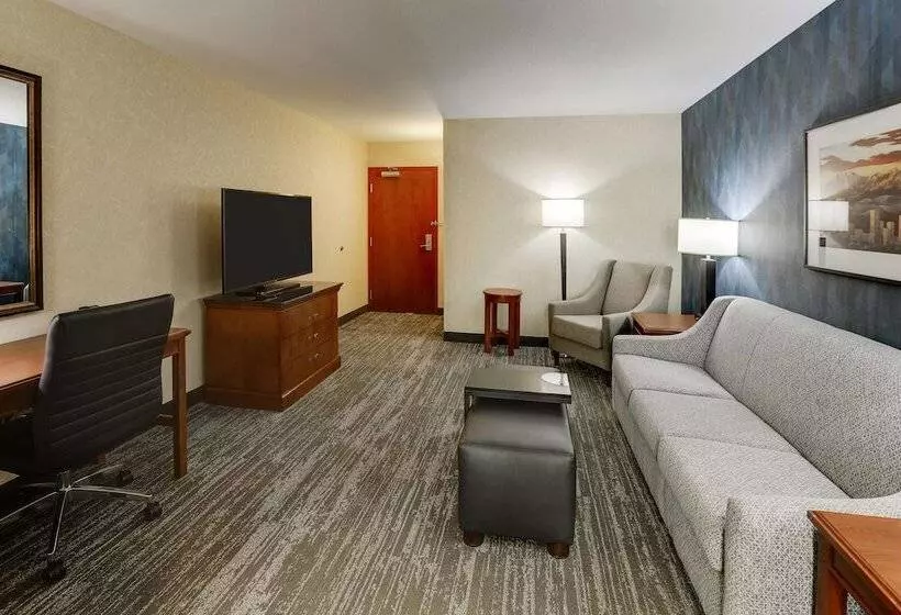 身障者適用スイートルーム, Drury Plaza Hotel Denver Westminster