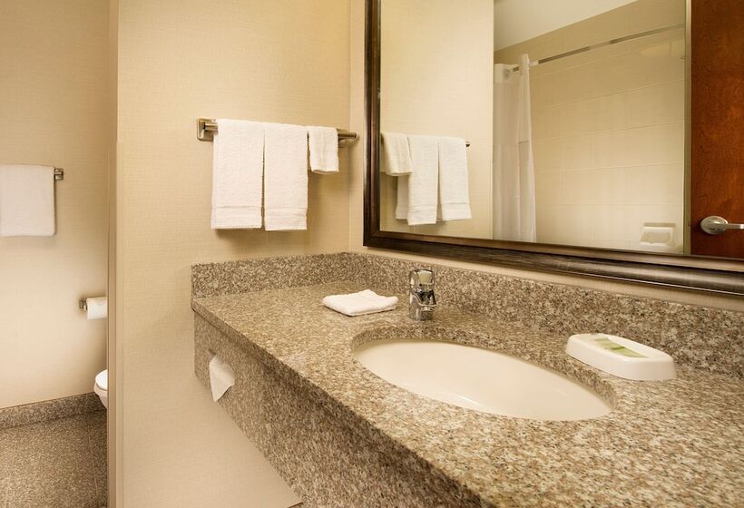 חדר דלוקס, Drury Inn & Suites Orlando Near Universal Orlando Resort