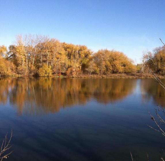 Номер Superior Кровать Кинг, Econo Lodge Ellensburg Near University