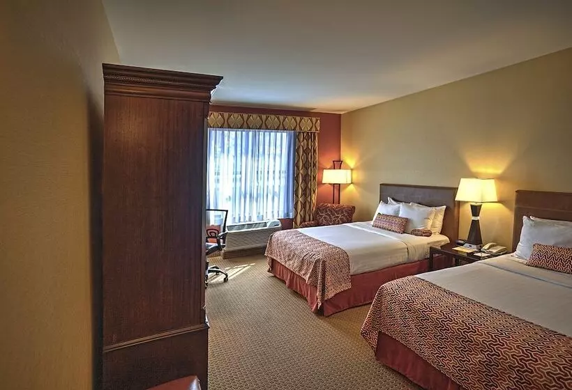デラックスルーム, The Hotel Warner