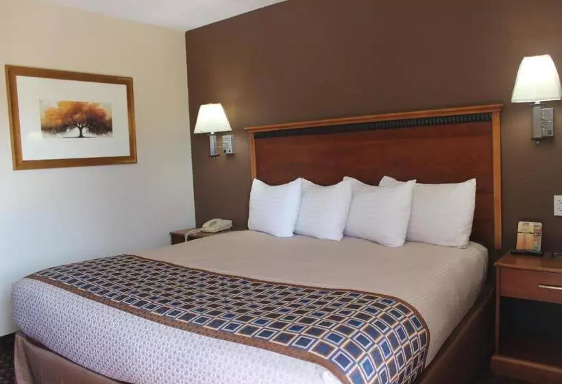 キングサイズベッドのスタンダードルーム, Travel Inn Omaha