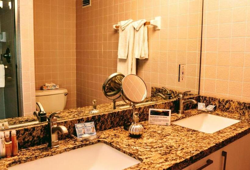 شقة كلاسيكية غرفة نوم واحدة, Villa Venezia