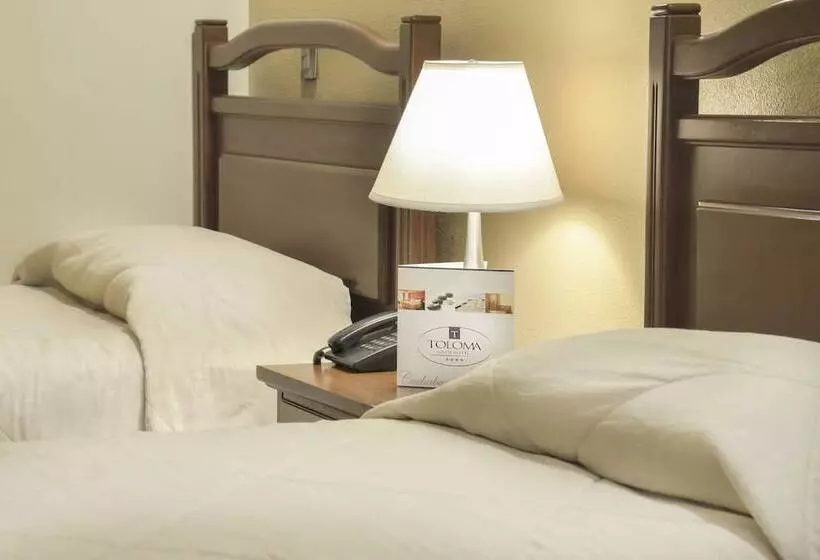اتاق استاندارد, Gran Hotel Toloma