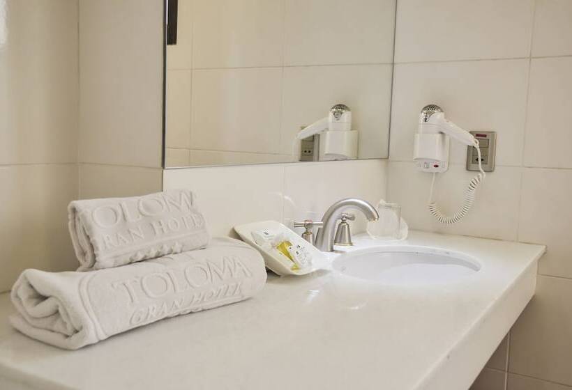 Номер Executive, Gran Hotel Toloma