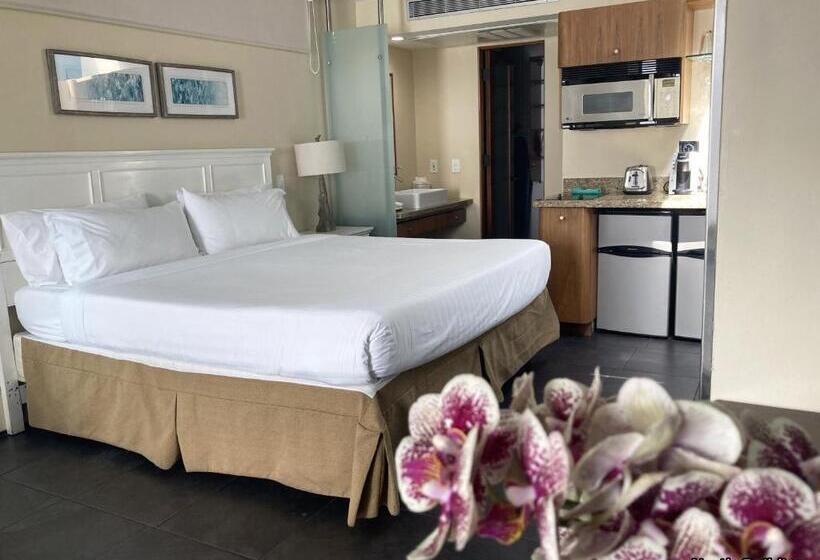 Номер Deluxe, 14 West Laguna Beach